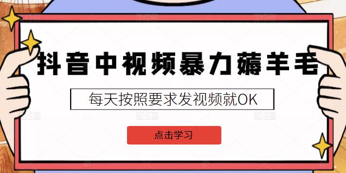 2022抖音中视频暴力薅羊毛白嫖项目：新号每天20块，老号几天几百块，可多号￼-小艾网创