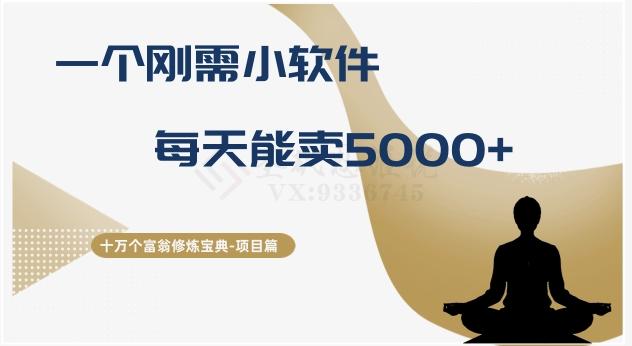 十万个富翁修炼宝典之17.一个刚需小软件，每天能卖5000+-小艾网创