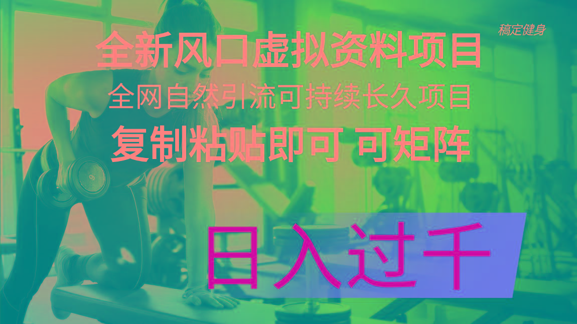 全新风口虚拟资料项目 全网自然引流可持续长久项目 复制粘贴即可可矩阵…-小艾网创