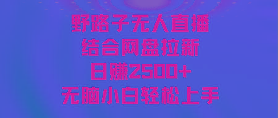 无人直播野路子结合网盘拉新，日赚2500+多平台变现，小白无脑轻松上手操作-小艾网创