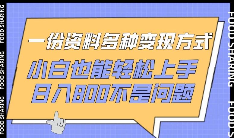 一份资料多种变现方式，小白也能轻松上手，日入800不是问题【揭秘】-小艾网创