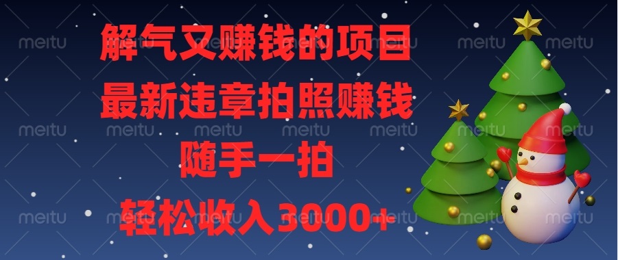 解气又赚钱的项目，最新违章拍照赚钱，随手一拍，轻松收入3000+-小艾网创