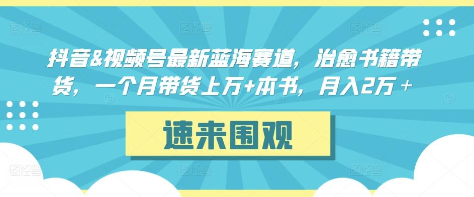 抖音&视频号最新蓝海赛道，治愈书籍带货，一个月带货上万+本书，月入2万＋【揭秘】-小艾网创