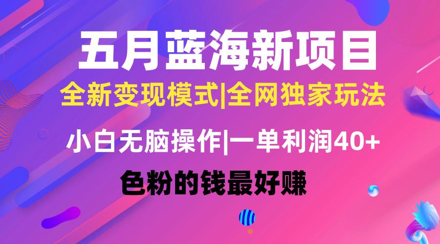 五月蓝海项目全新玩法，小白无脑操作，一天几分钟，矩阵操作，月入4万+-小艾网创