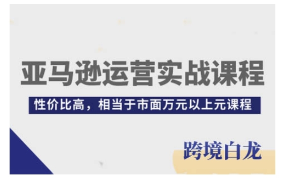 亚马逊运营实战课程，亚马逊从入门到精通，性价比高，相当于市面万元以上元课程-小艾网创