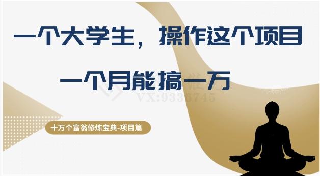 十万个富翁修炼宝典之4.一个大学生操作这个项目，一个月能搞一万-小艾网创