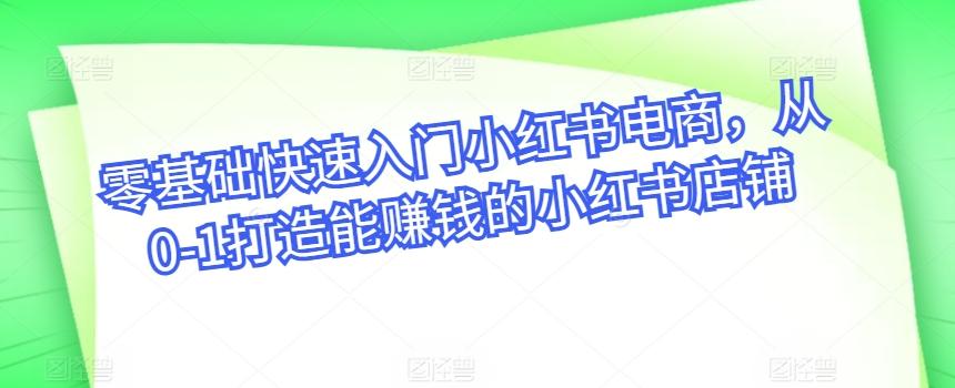 零基础快速入门小红书电商，从0-1打造能赚钱的小红书店铺-小艾网创