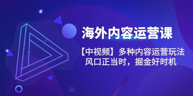 海外内容 运营课【中视频】多种内容运营玩法 风口正当时 掘金好时机-101节-小艾网创