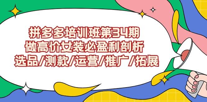 (9333期)拼多多培训班第34期：做高价女装必盈利剖析  选品/测款/运营/推广/拓展-小艾网创