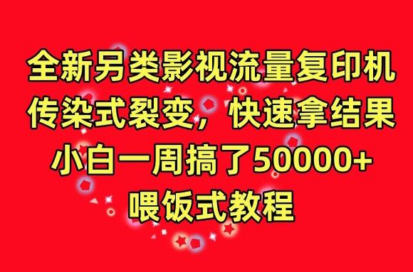 全新另类影视流量复印机，传染式裂变，快速拿结果，小白一周搞了50000+，喂饭式教程【揭秘】-小艾网创