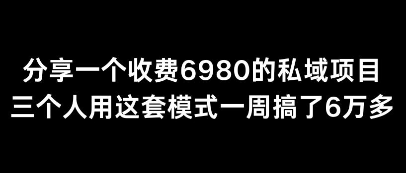 分享一个外面卖6980的私域项目三个人用这套模式一周搞了6万多【揭秘】-小艾网创