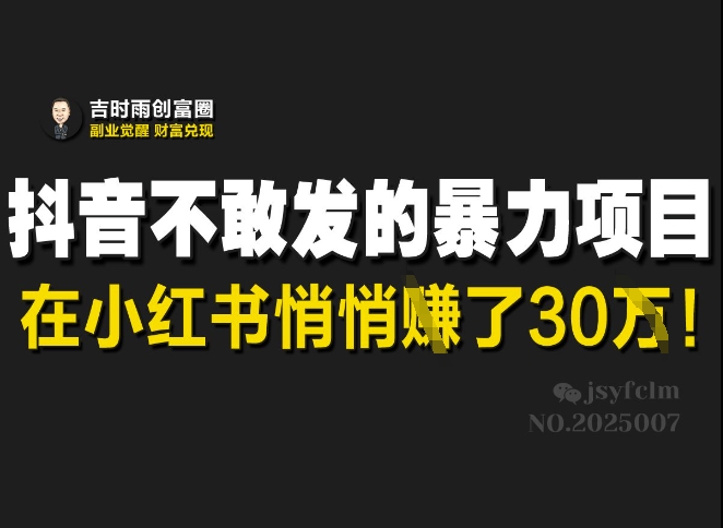 抖音不敢发的暴利项目，在小红书悄悄挣了30W-小艾网创