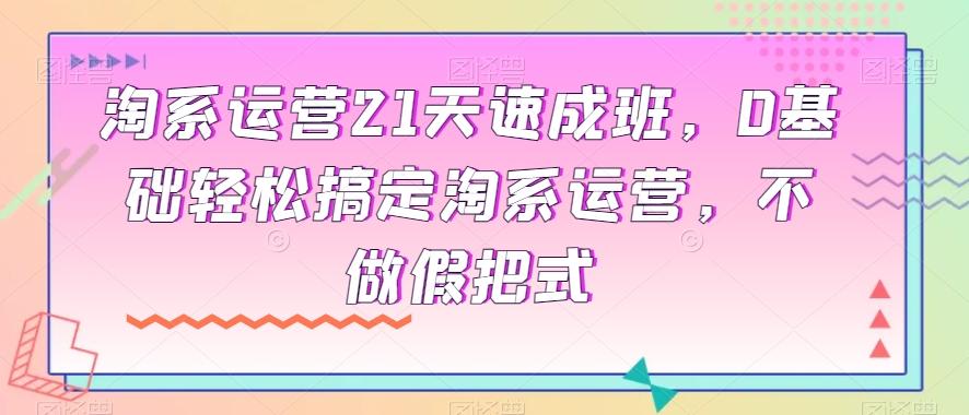 淘系运营21天速成班，0基础轻松搞定淘系运营，不做假把式-小艾网创