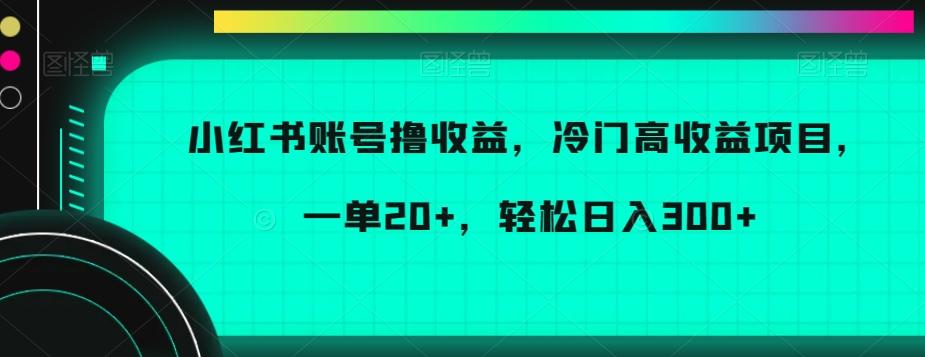 小红书账号撸收益，冷门高收益项目，一单20+，轻松日入300+【揭秘】-小艾网创