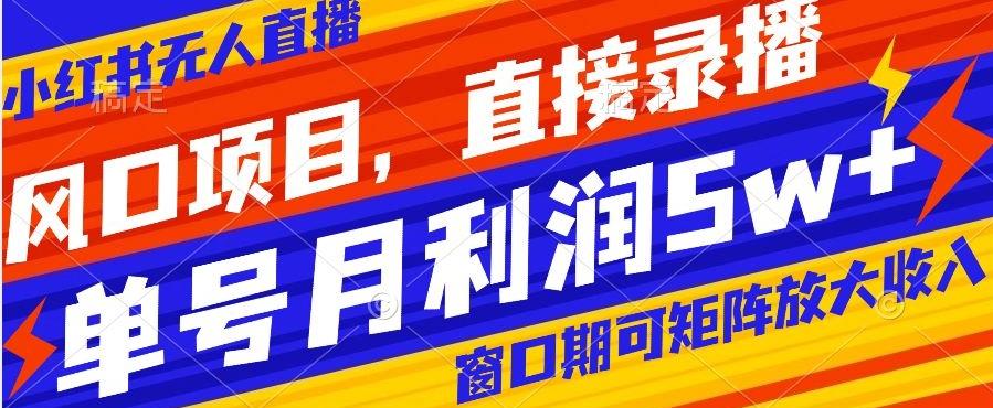 风口项目，小红书无人直播带货，直接录播，可矩阵，月入5w+【揭秘】-小艾网创