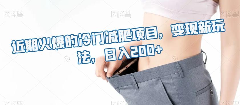 近期火爆的冷门减肥项目，变现新玩法，日入200+-小艾网创