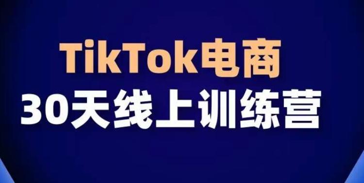 TikTok电商带货30天线上课，不可错过的全球流量洼地！-小艾网创