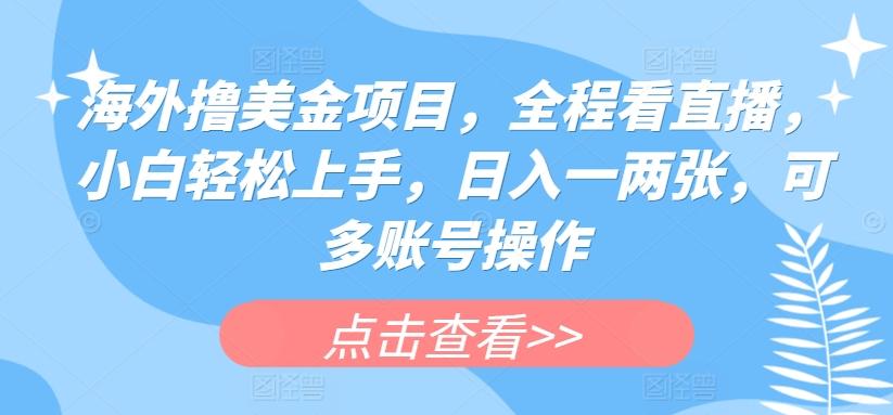 海外撸美金项目，全程看直播，小白轻松上手，日入一两张，可多账号操作【揭秘】-小艾网创