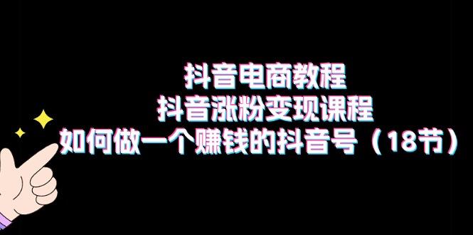 抖音电商教程：抖音涨粉变现课程：如何做一个赚钱的抖音号(18节-小艾网创