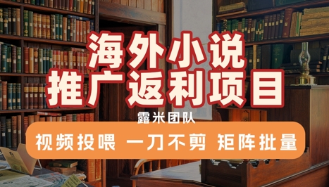 海外小说推广返利项目，视频投喂， 一刀不剪，矩阵批量-小艾网创