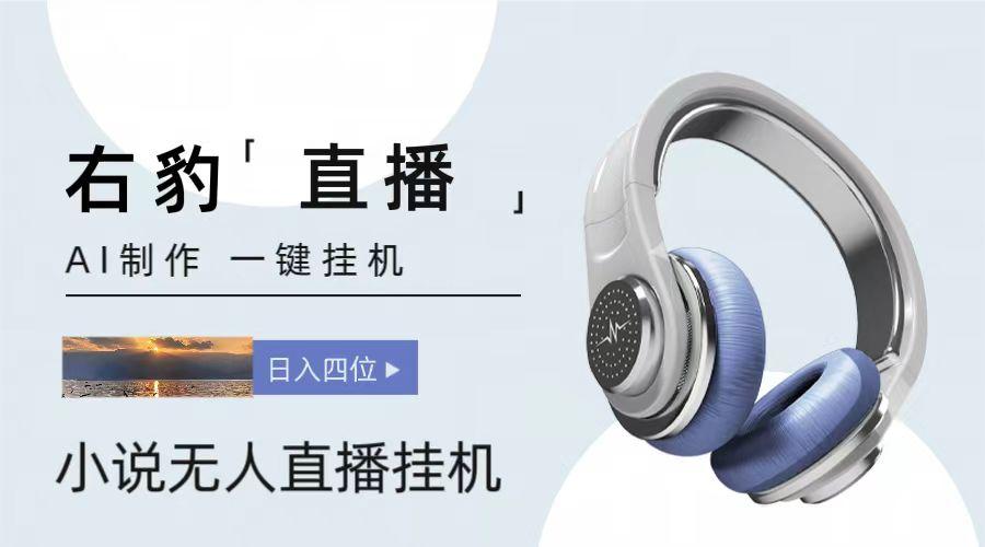 右豹小说无人直播挂机吸金项目，简单易行收益稳定， 月入1000+-小艾网创