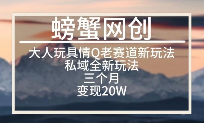 大人玩具情Q用品赛道私域全新玩法，三个月变现20W，老项目新思路【揭秘】-小艾网创