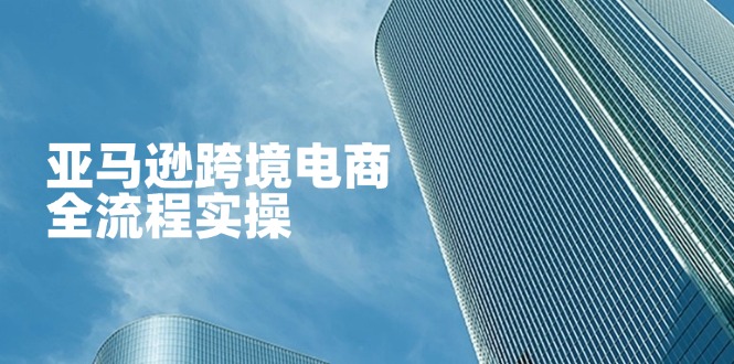 亚马逊跨境电商全流程实操，教你从零开始，掌握店铺运营与广告技巧-小艾网创
