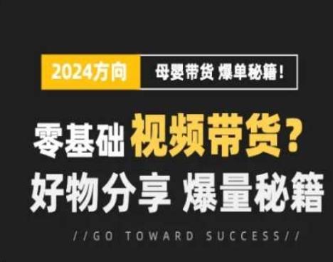 短视频母婴赛道实操流量训练营，零基础视频带货，好物分享，爆量秘籍-小艾网创