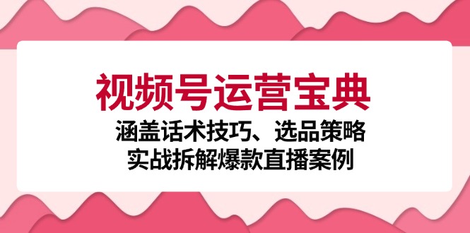 视频号运营宝典：涵盖话术技巧、选品策略、实战拆解爆款直播案例-小艾网创