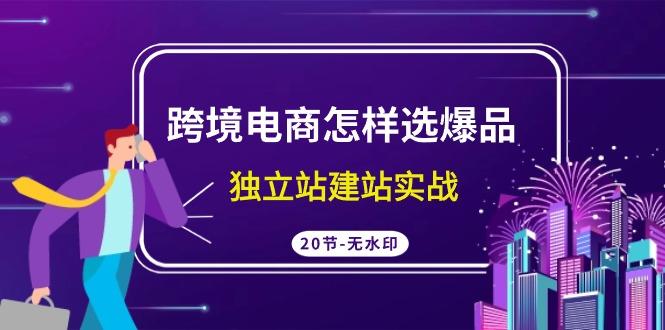(9369期)跨境电商怎样选爆品，独立站建站实战(20节高清无水印课)-小艾网创