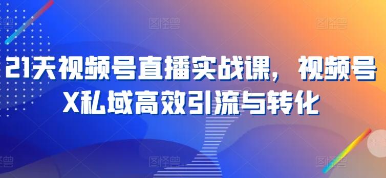 21天视频号直播实战课，视频号X私域高效引流与转化-小艾网创
