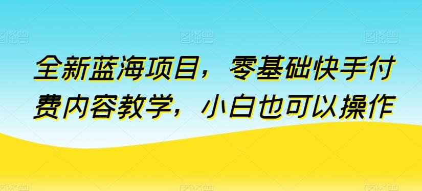 全新蓝海项目，零基础快手付费内容教学，小白也可以操作【揭秘】-小艾网创