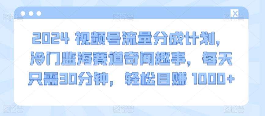 2024视频号流量分成计划，冷门监海赛道奇闻趣事，每天只需30分钟，轻松目赚 1000+【揭秘】-小艾网创