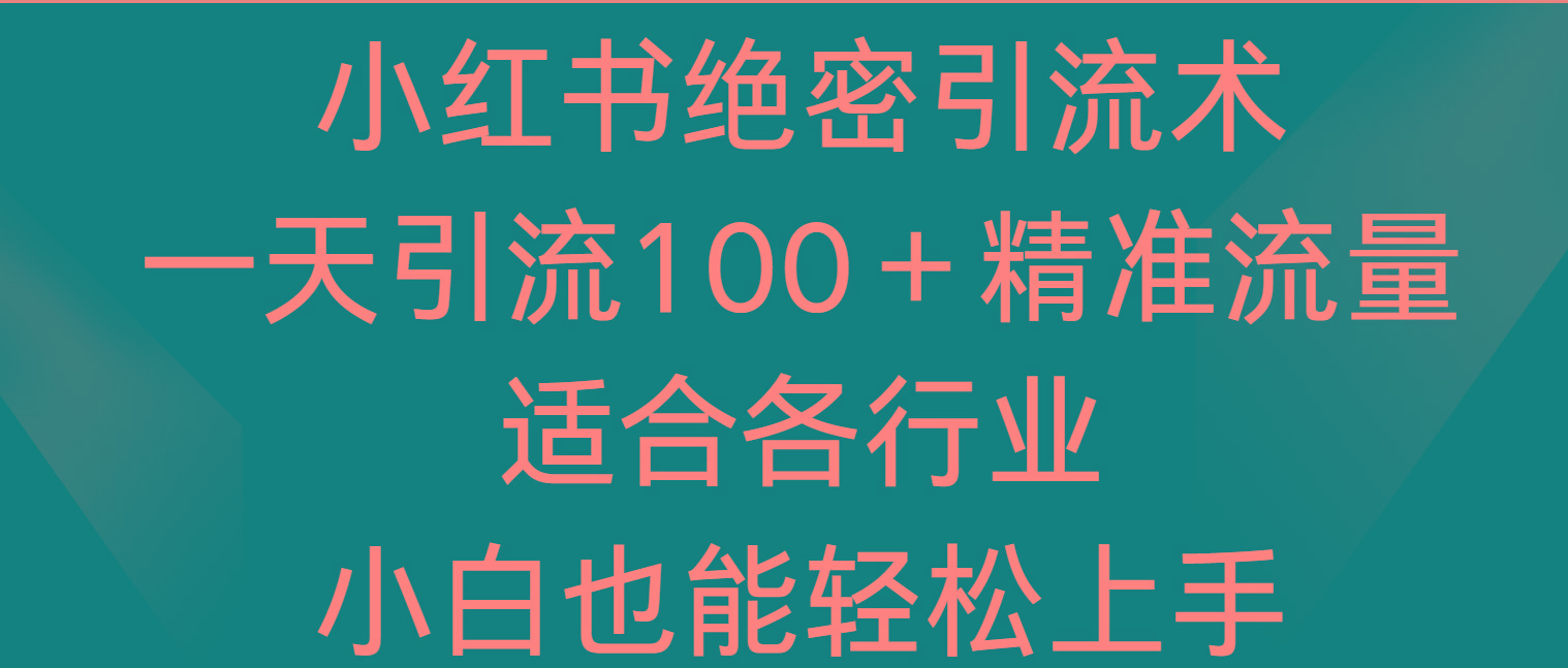 小红书绝密引流术，一天引流100＋精准流量，适合各个行业，小白也能轻松上手-小艾网创