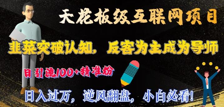 天花板级互联网项目，韭菜突破认知，反客为主成为导师，日引流100+精准粉-小艾网创
