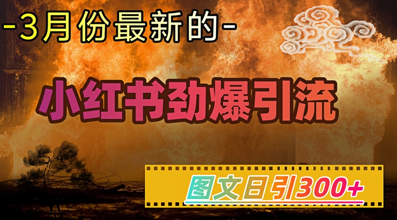 小红书超劲爆引流手段，图文日引300+轻松变现1W-小艾网创