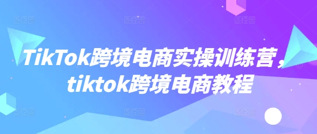 TikTok跨境电商实操训练营，tiktok跨境电商教程-小艾网创