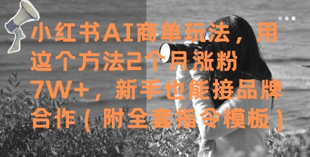 小红书AI商单玩法，用这个方法2个月涨粉7W+，新手也能接品牌合作(附全套指令模板)-小艾网创