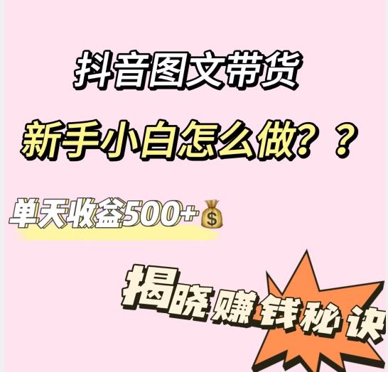 抖音图文带货，新手小白怎么做？单天收益500+【揭秘赚钱秘诀】-小艾网创