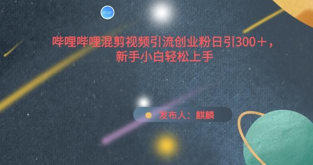 哔哩哔哩混剪视频引流创业粉日引300+，新手小白轻松上手【揭秘】-小艾网创