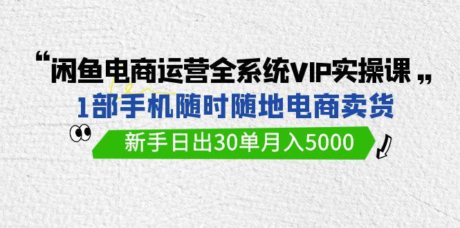 (9547期)闲鱼电商运营全系统VIP实战课，1部手机随时随地卖货，新手日出30单月入5000-小艾网创