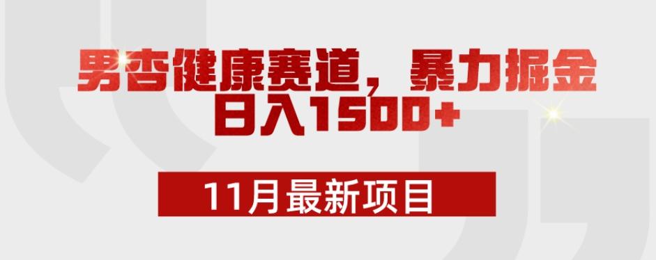 11月最新项目，男杏健康赛道，暴力掘金，日入1500+-小艾网创