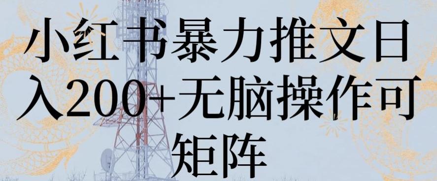 小红书暴力推文日入200+无脑操作可矩阵【揭秘】-小艾网创