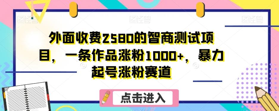 外面收费2580的智商测试项目，一条作品涨粉1000+，暴力起号涨粉赛道【揭秘】-小艾网创