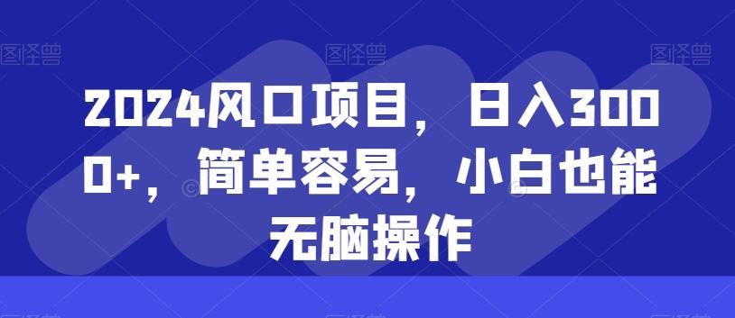 2024风口项目，日入3000+，简单容易，小白也能无脑操作-小艾网创