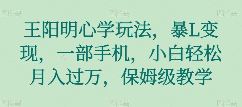 王阳明心学玩法，暴L变现，一部手机，小白轻松月入过万，保姆级教学【揭秘】-小艾网创