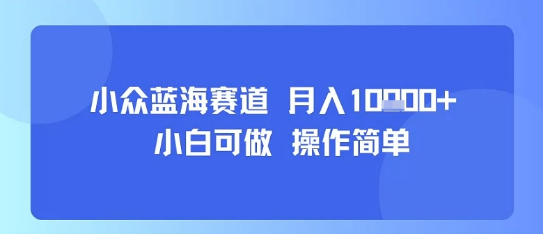 小众蓝海赛道，小白可做，操作简单，每天30分钟，月入1W+-小艾网创