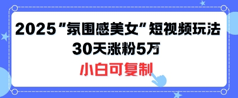 不露脸也能火！2025“氛围感美女”短视频玩法，30天涨粉5W小白可复制-小艾网创