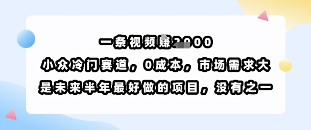 一条视频挣1k，小众冷门赛道，0成本，市场需求大，是未来半年最好做的项目，没有之一-小艾网创