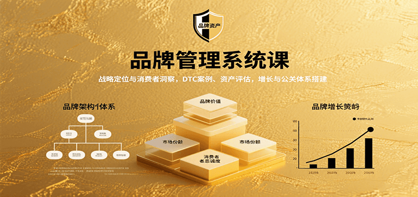 图片[1]-品牌管理系统课：战略定位与消费者洞察，DTC案例、资产评估，增长与公关体系搭建-精品虚拟资源库